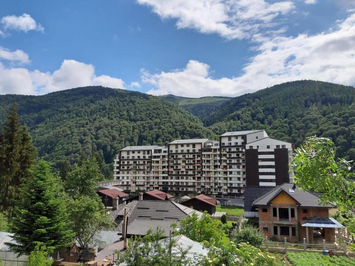 Dorin Colina Marei Sinaia Exterior foto